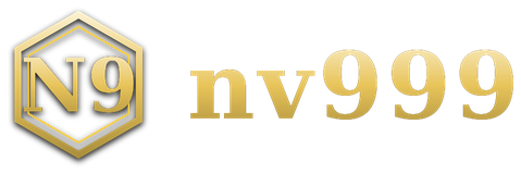 nv999 logo